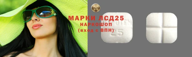 индика Беломорск