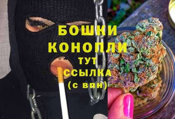 индика Беломорск