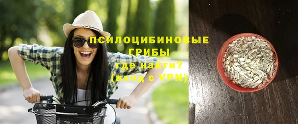 индика Беломорск