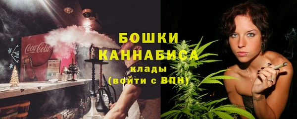 индика Беломорск