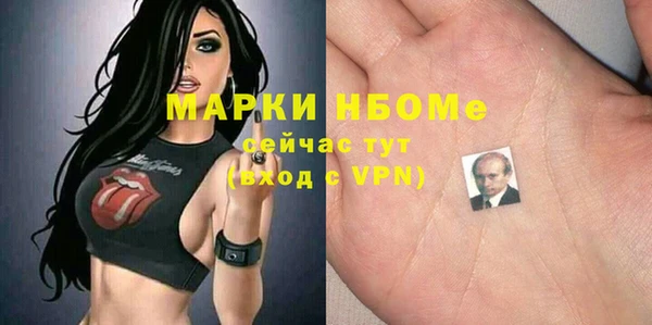 индика Беломорск
