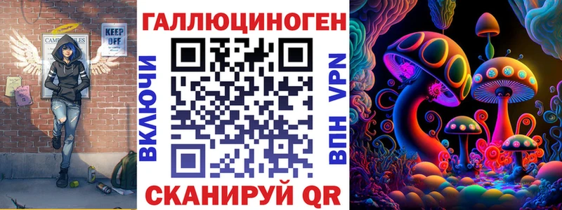 кракен вход Кемь Псилоцибиновые грибы Psilocybe